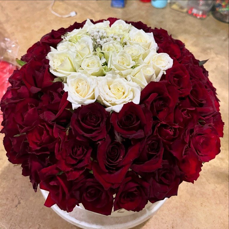 1398755B-822B-435B-94F6-B8CB6BE65063 2